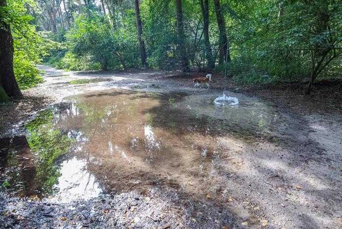 Putdeksel komt omhoog en zorgt voor wateroverlast op bospad