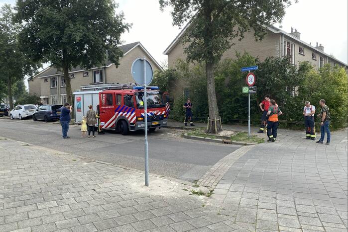 Heg vat vlam bij wegbranden van onkruid