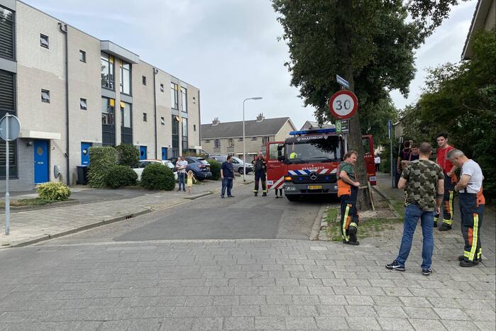 Heg vat vlam bij wegbranden van onkruid