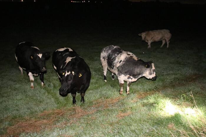 Opvarenden met motorpech urenlang vast op het water