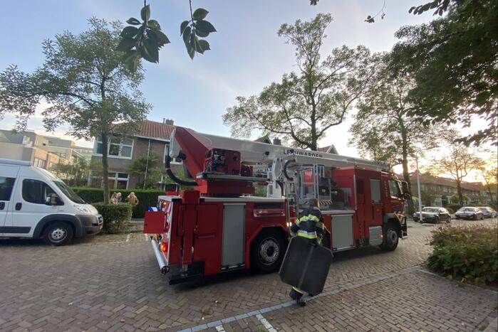 Vermiste kat Chico aangetroffen onder dakpan