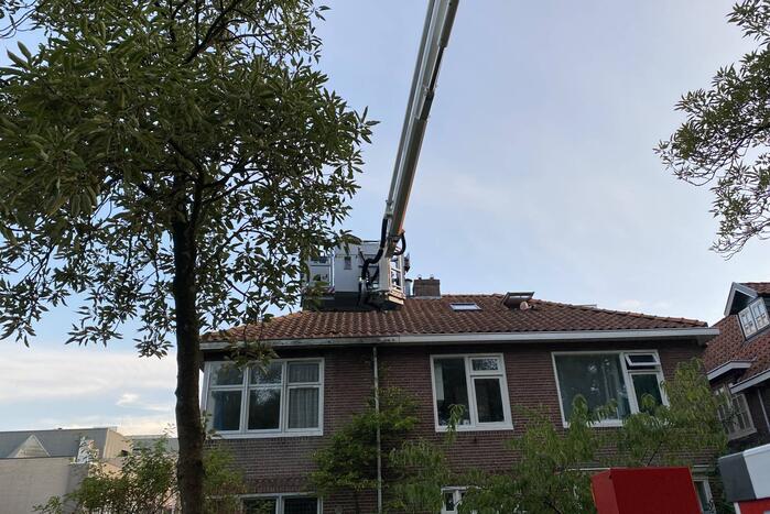 Vermiste kat Chico aangetroffen onder dakpan