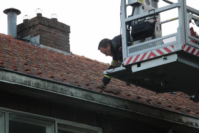 Vermiste kat Chico aangetroffen onder dakpan