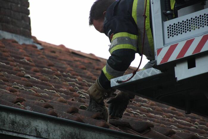 Vermiste kat Chico aangetroffen onder dakpan