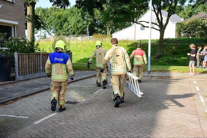 Brandweer haalt kat uit de boom