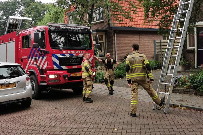 Kat kiest hazepad na reddingsactie brandweer