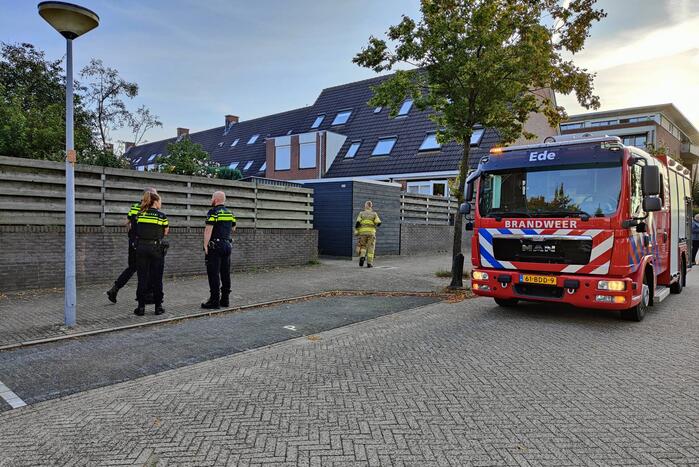Brandlucht door uitroken wespennest