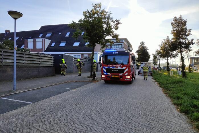 Brandlucht door uitroken wespennest