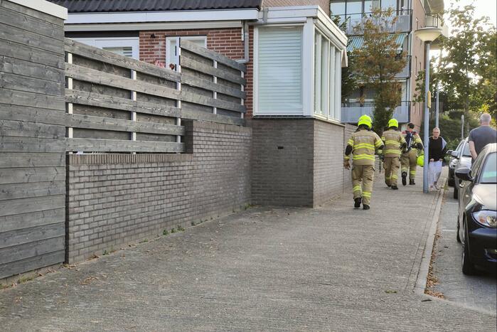 Brandlucht door uitroken wespennest