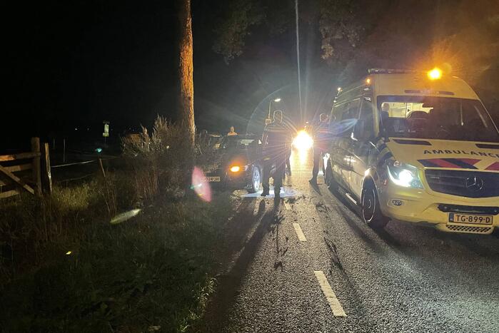 Bestuurder gewond door botsing tegen boom