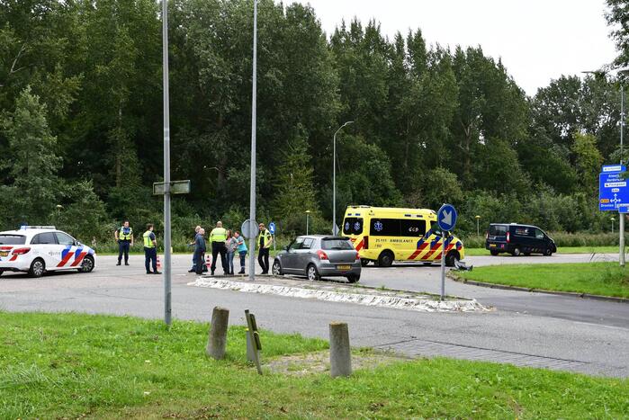 Bestelbus hondenuitlaatservice in botsing met auto