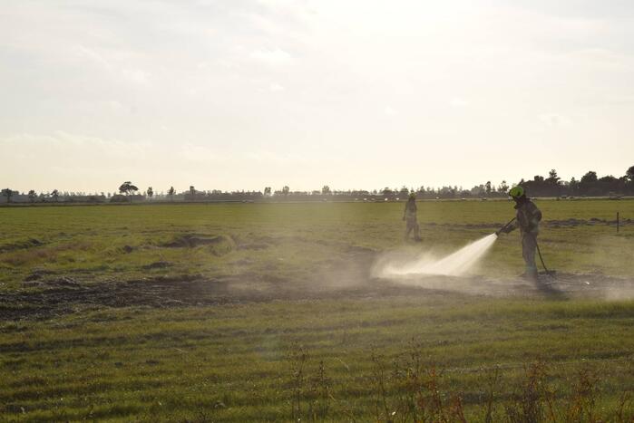 Brandend gras bestreden door brandweer