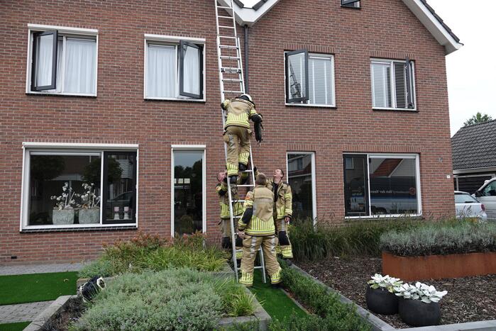 Kat uit de dakgoot gehaald