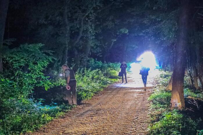 Hulpdiensten onderzoeken vreemde lucht in bosgebied