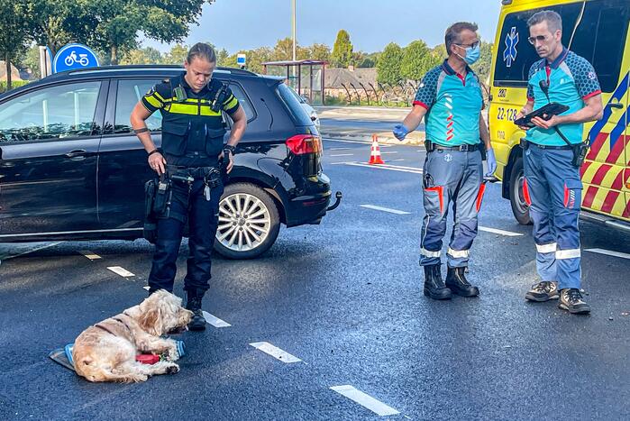 Hoofakker - N615 Nieuws Lieshout 