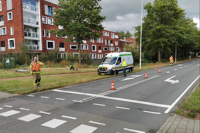 Brandweermannen schieten dierenambulance te hulp