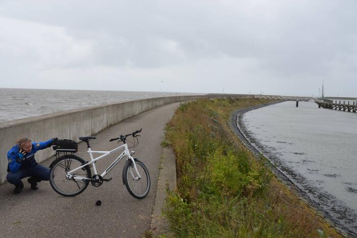 Gespotte walrus trekt veel bekijks