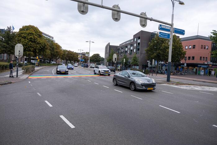 Regenboog-oversteekplaats besmeurd met verf