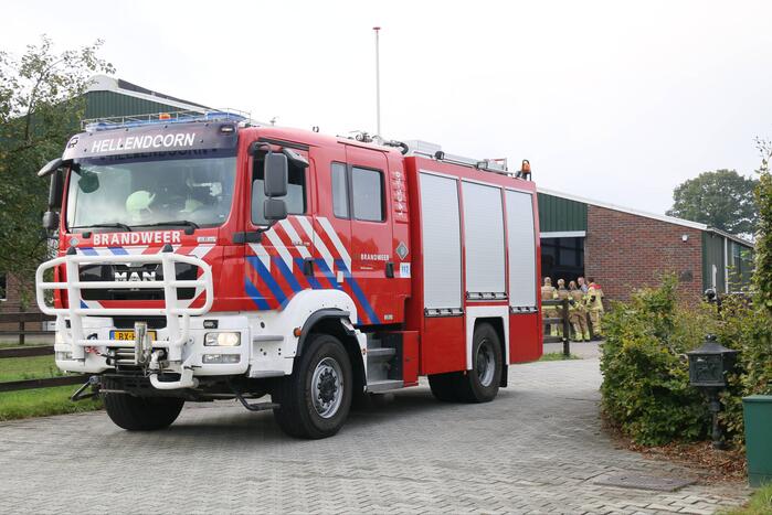 Brandweer bevrijdt paard uit benarde positie
