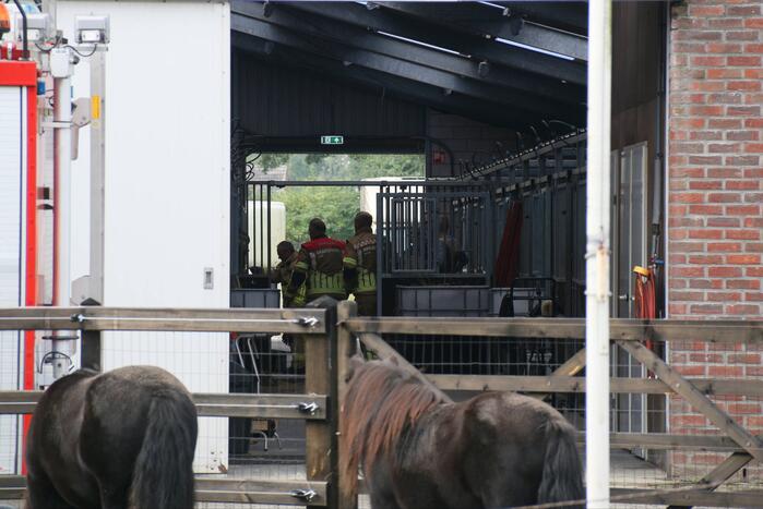Brandweer bevrijdt paard uit benarde positie