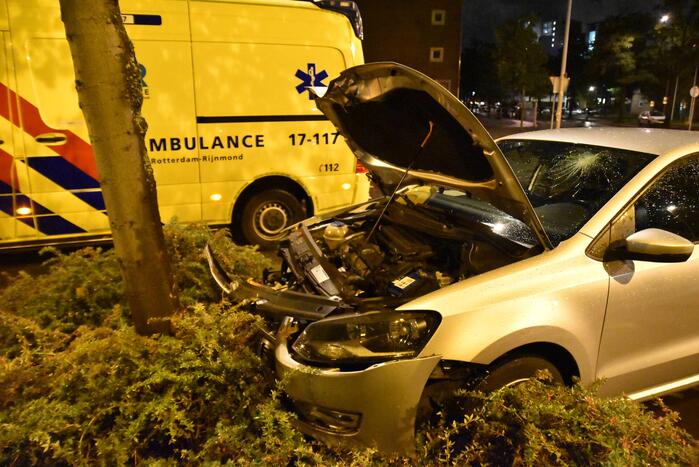 Automobilist ramt boom in middenberm