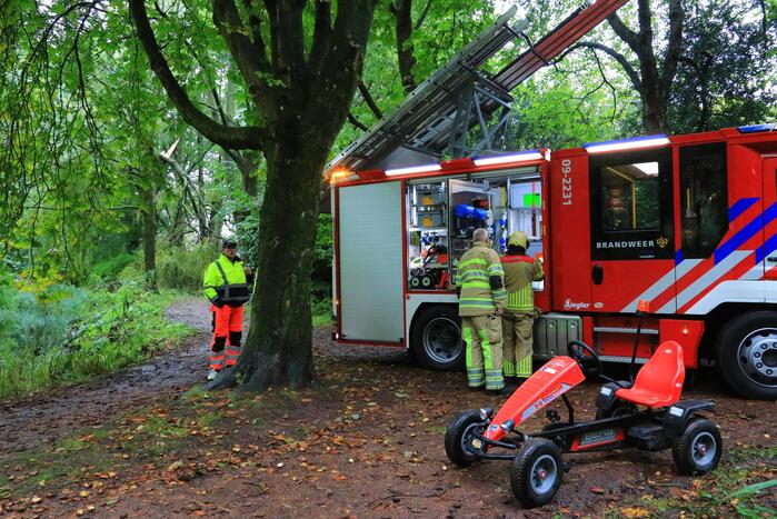 Enorme tak in bosgebied afgebroken boven voetpad