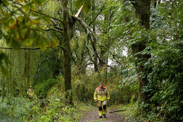 Enorme tak in bosgebied afgebroken boven voetpad