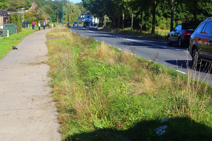 Bestuurder bestelbus rijdt lantaarnpaal uit de grond