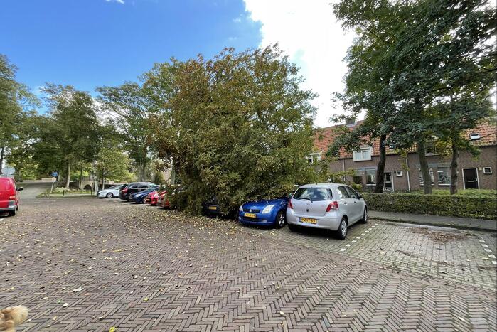 Boom valt op geparkeerde auto's