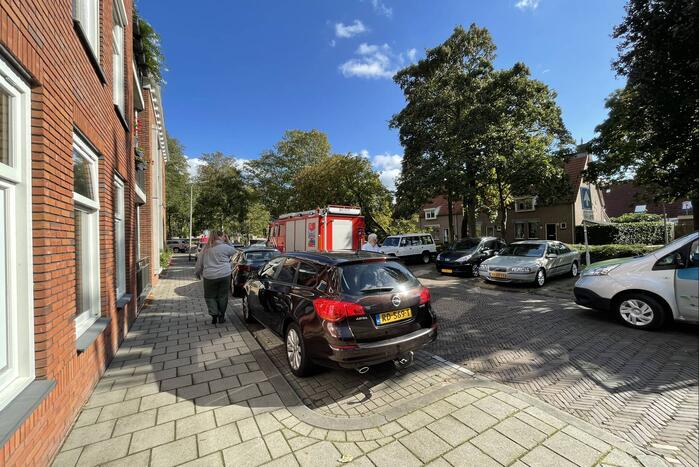 Boom valt op geparkeerde auto's