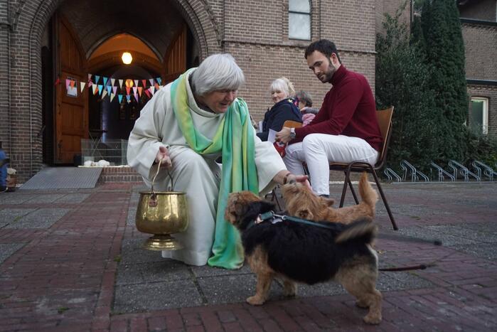 Huisdieren krijgen zegening op Dierendag