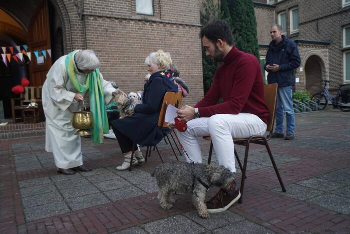 Huisdieren krijgen zegening op Dierendag