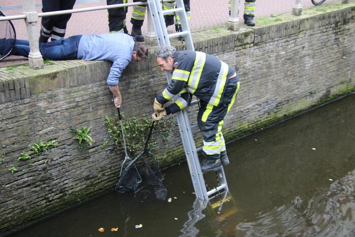 Brandweer bevrijdt kat uit gracht