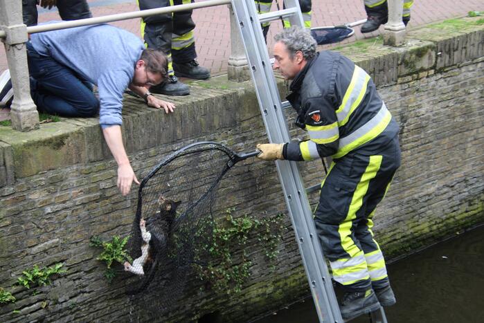 Brandweer bevrijdt kat uit gracht