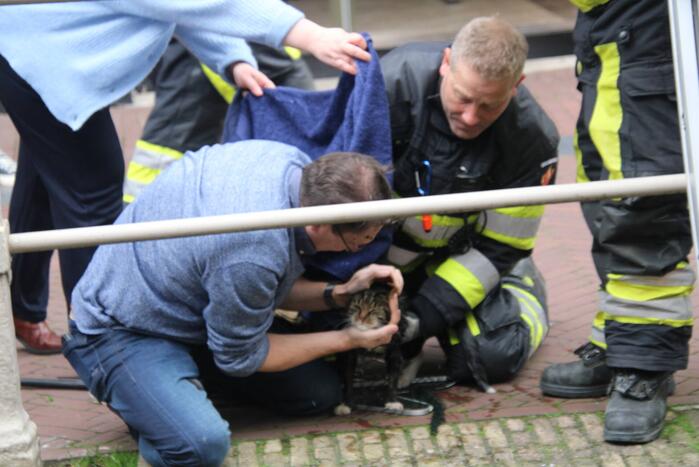 Brandweer bevrijdt kat uit gracht