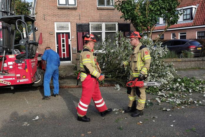 Vrachtwagen raakt boom