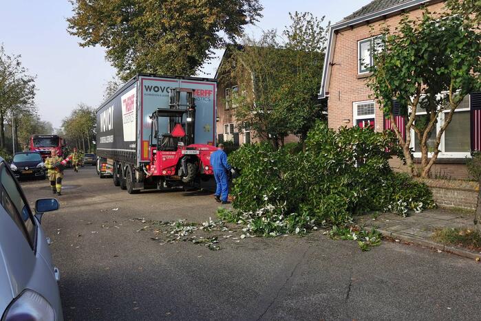 Vrachtwagen raakt boom