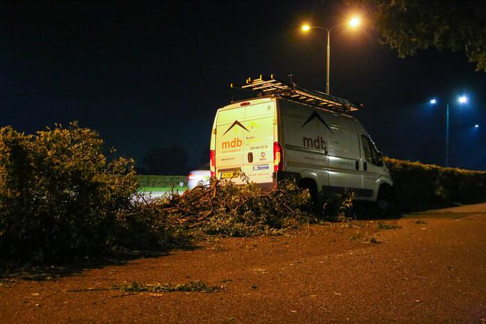 Bestelbus rijdt in struiken