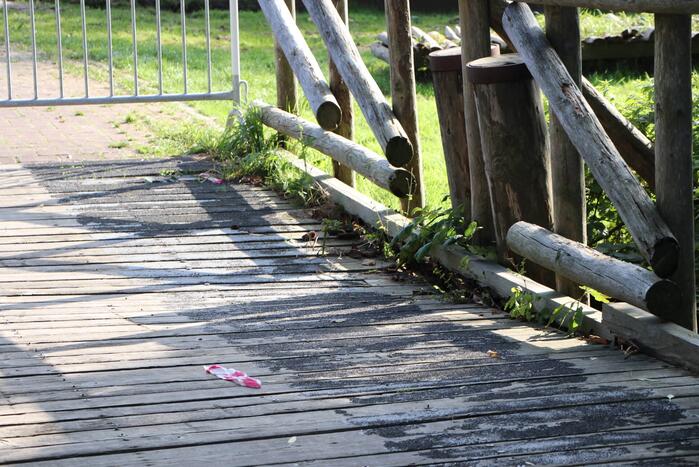 Brug zakt in tijdens marathonloop