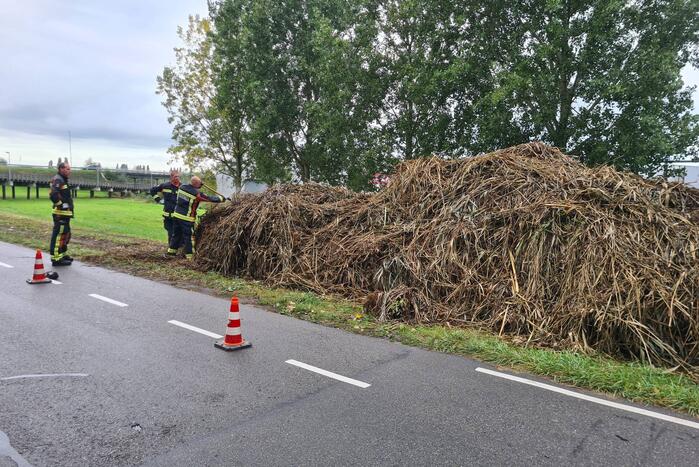 Broei in bergen riet