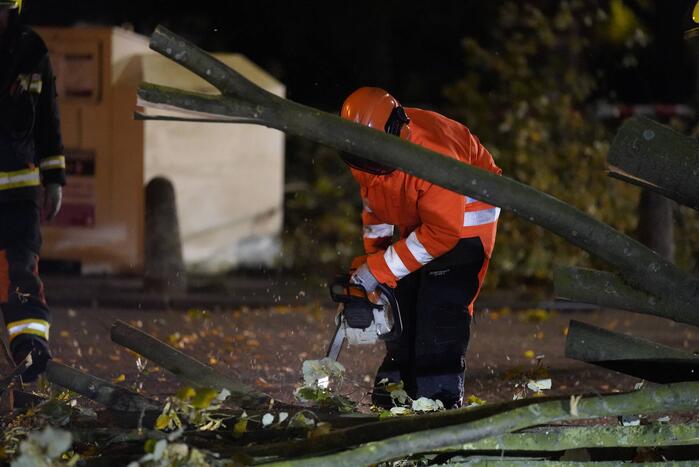 Grote boom valt over weg