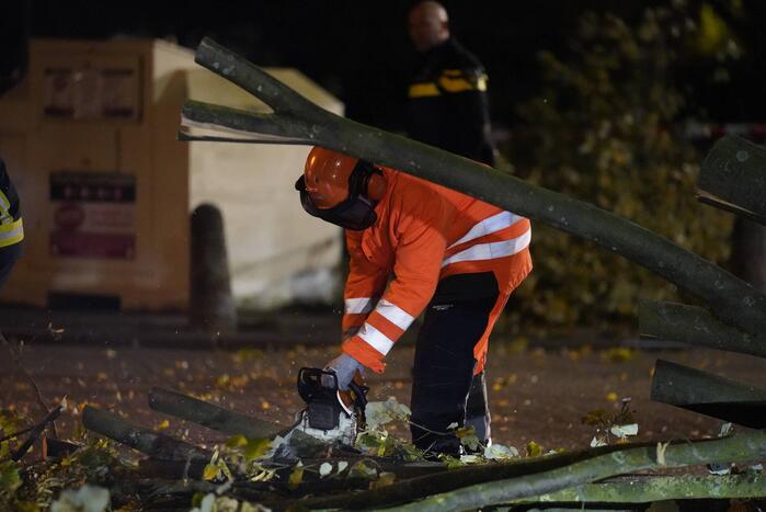 Grote boom valt over weg