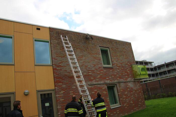 Meeuw vast met poot aan dakrand