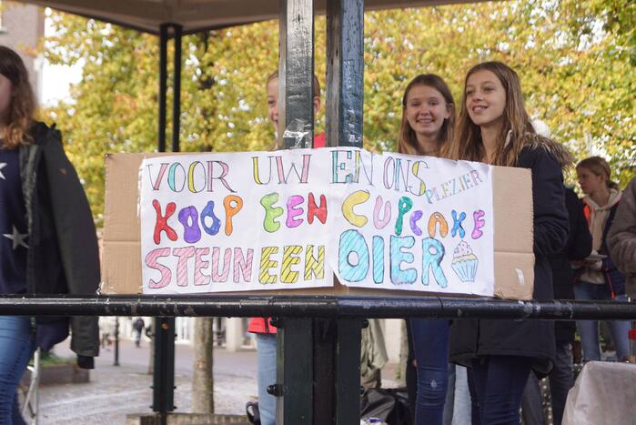 Leerlingen halen geld op voor Stichting Dierenzorg Eemland