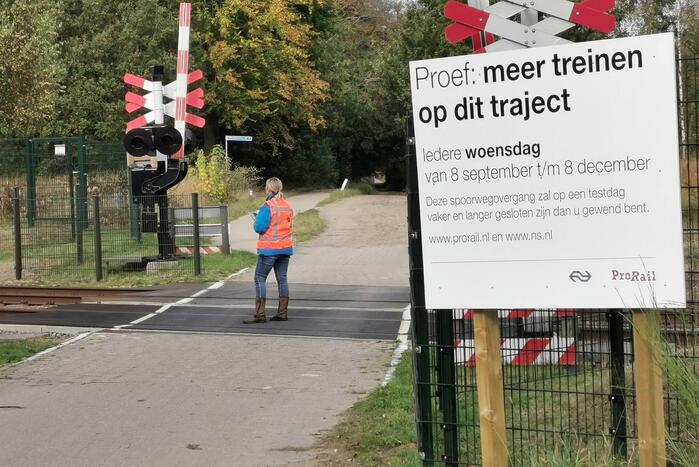 Treinverkeer vertraagd door hond op spoor