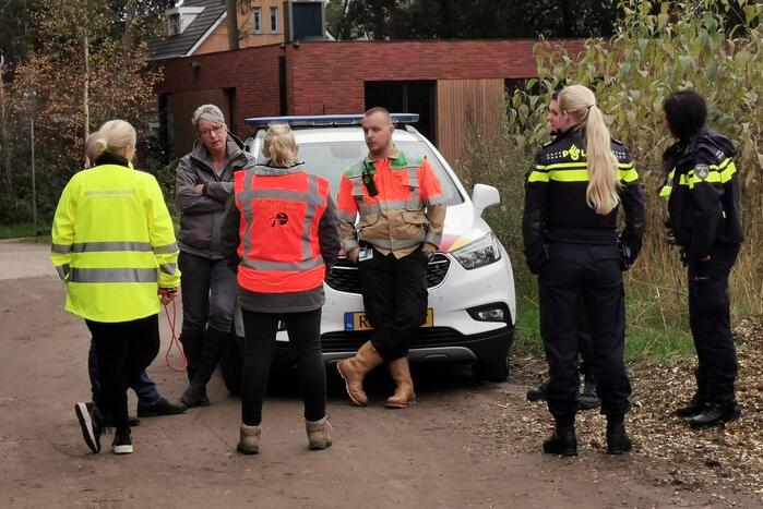 Treinverkeer vertraagd door hond op spoor