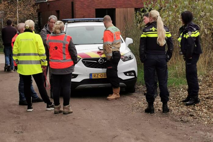 Treinverkeer vertraagd door hond op spoor