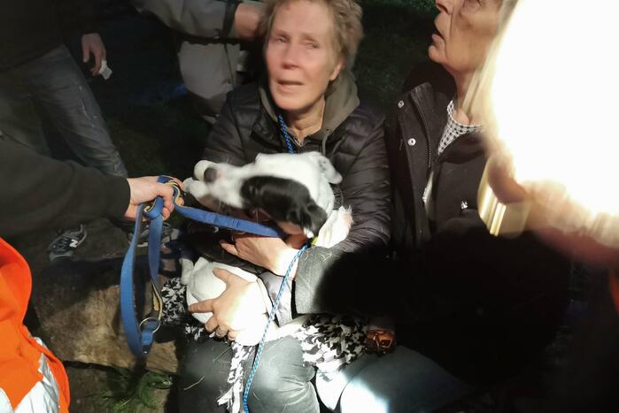 Treinverkeer vertraagd door hond op spoor