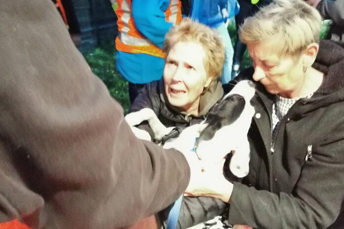 Treinverkeer vertraagd door hond op spoor