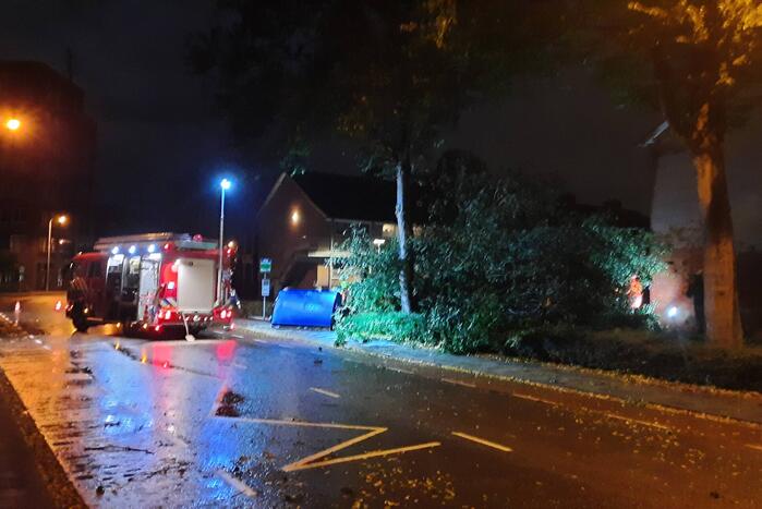 Bushalte verplettert door omgevallen boom